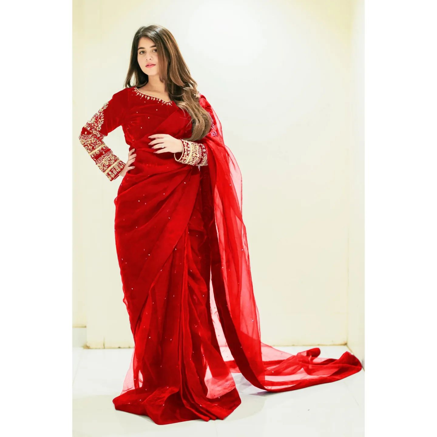 Pearls Attached Pleated Saree